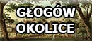 Głogów - Okolice